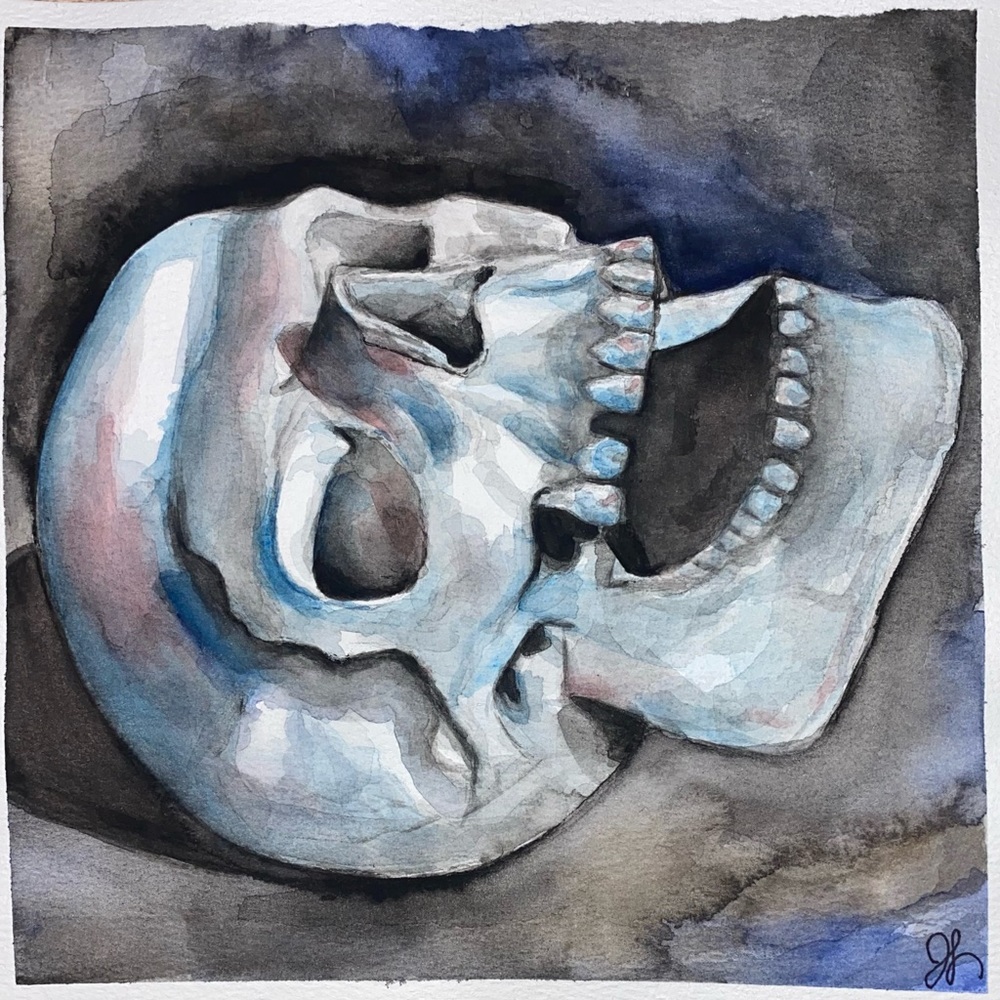 Skull watercolor painting